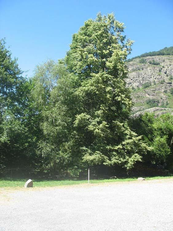 Vacances en montagne Les Pyrénées