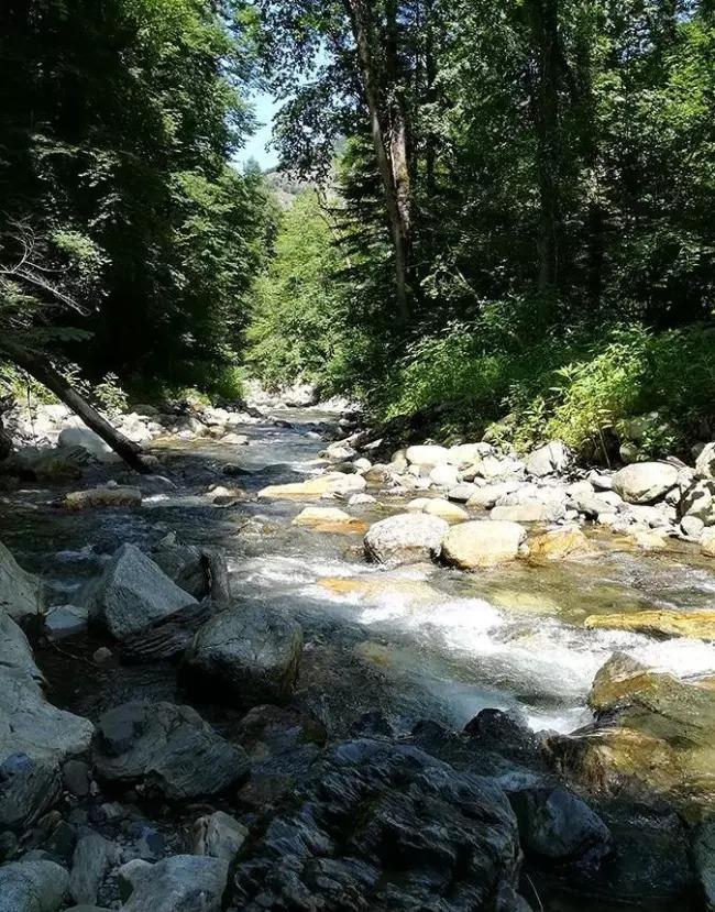 Vacances en montagne Les Pyrénées